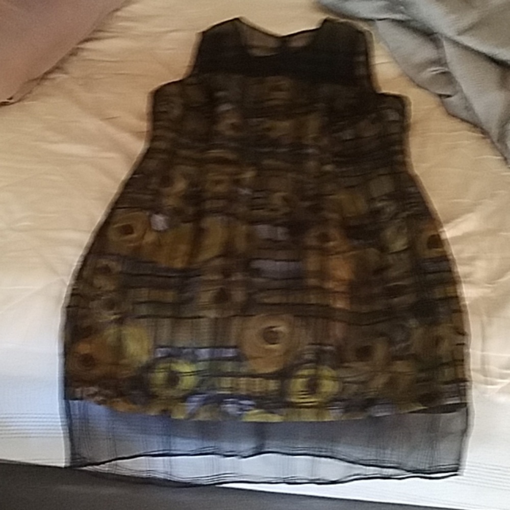 brand new Carmen Marc Valvo organza dress.  Neiman
